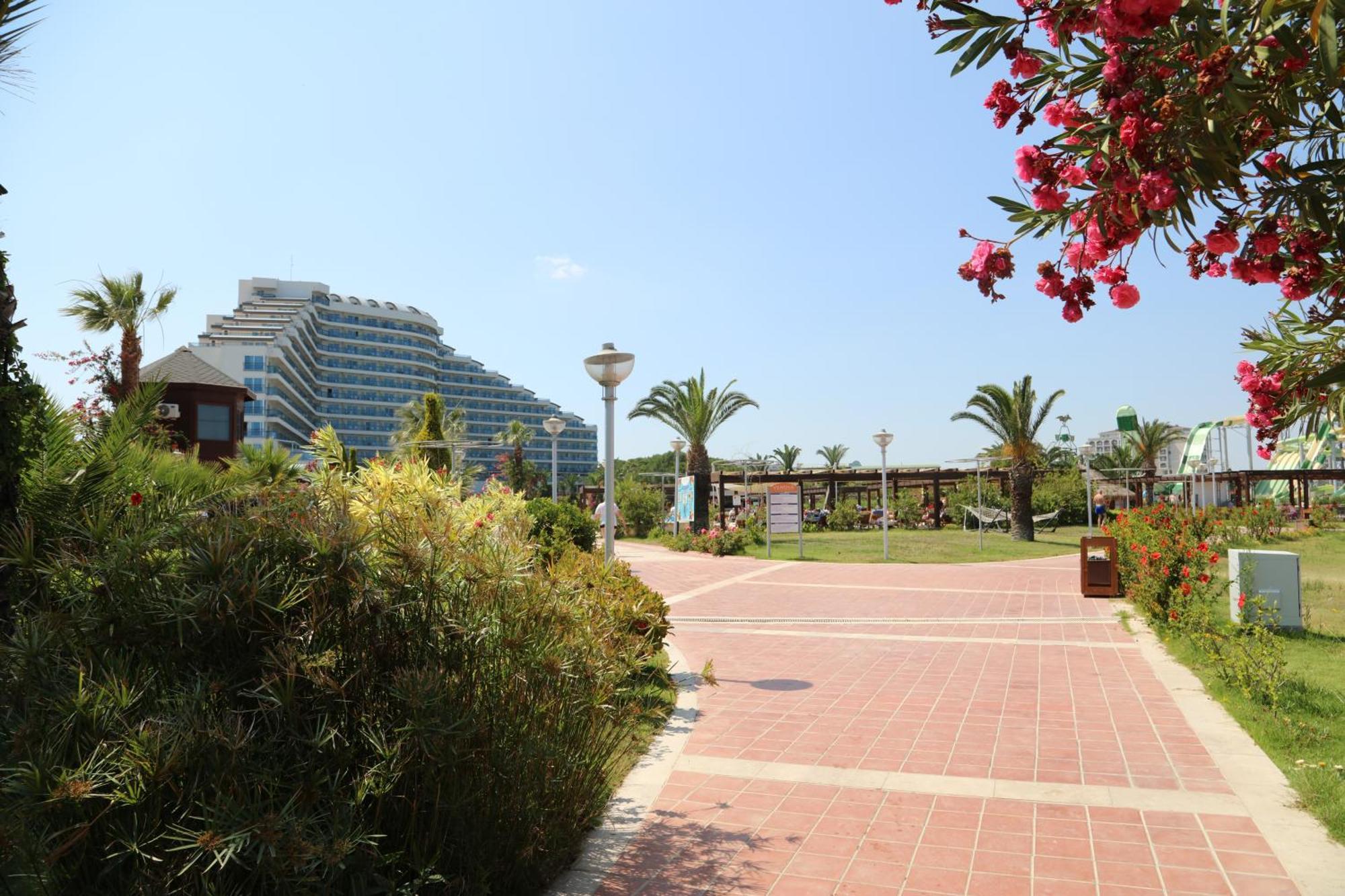 Venosa Beach Resort & Spa 디딤 외부 사진
