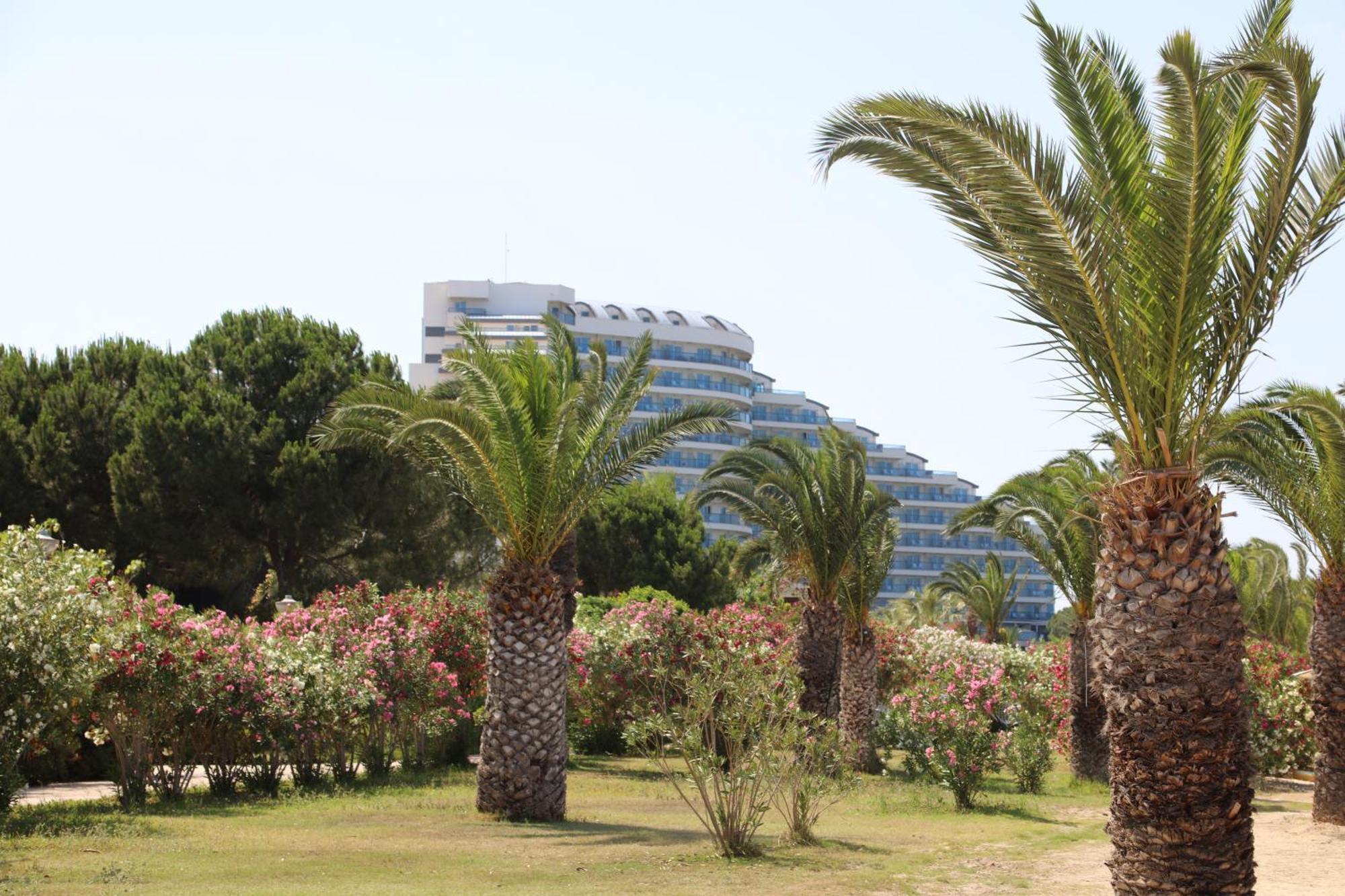 Venosa Beach Resort & Spa 디딤 외부 사진